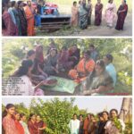 शेटफळ येथे कृषी विभागाच्या वतीने शिवार फेरीचे आयोजन ; महिलांना दिले प्रशिक्षण