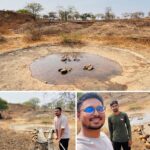 वन्यजीवांसाठी ‘जलदूत’ बनले सातव बंधू ; सौरभआणि माऊली यांच्याकडून वनक्षेत्रालगतच्या पाणवठ्यात नियमित पाणीपुरवठा